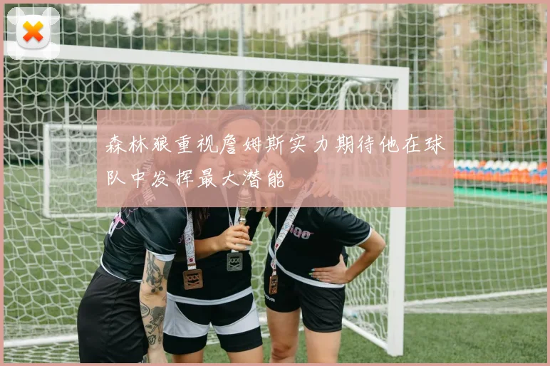 森林狼重视詹姆斯实力期待他在球队中发挥最大潜能