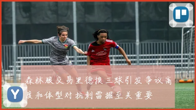 森林狼交易里德换三球引发争议高度和体型对抗刺雷掘至关重要