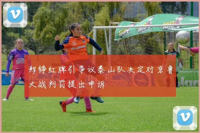 郑铮红牌引争议泰山队决定对京鲁大战判罚提出申诉